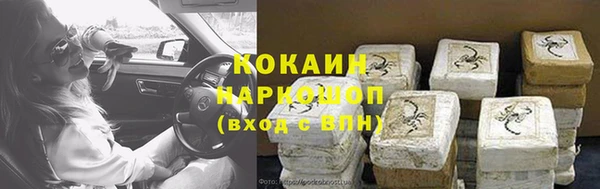 прущие грибы Баксан