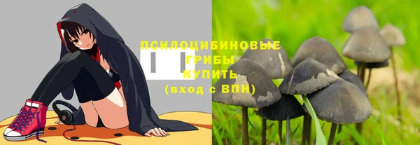 прущие грибы Баксан