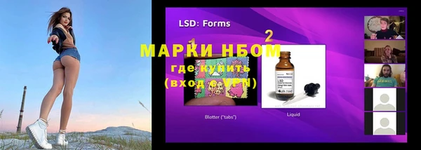 прущие грибы Баксан