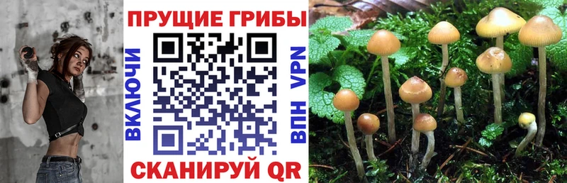 цены наркотик  Ясный  Псилоцибиновые грибы ЛСД 